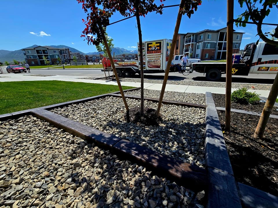 Edge Envy concrete curbing project
