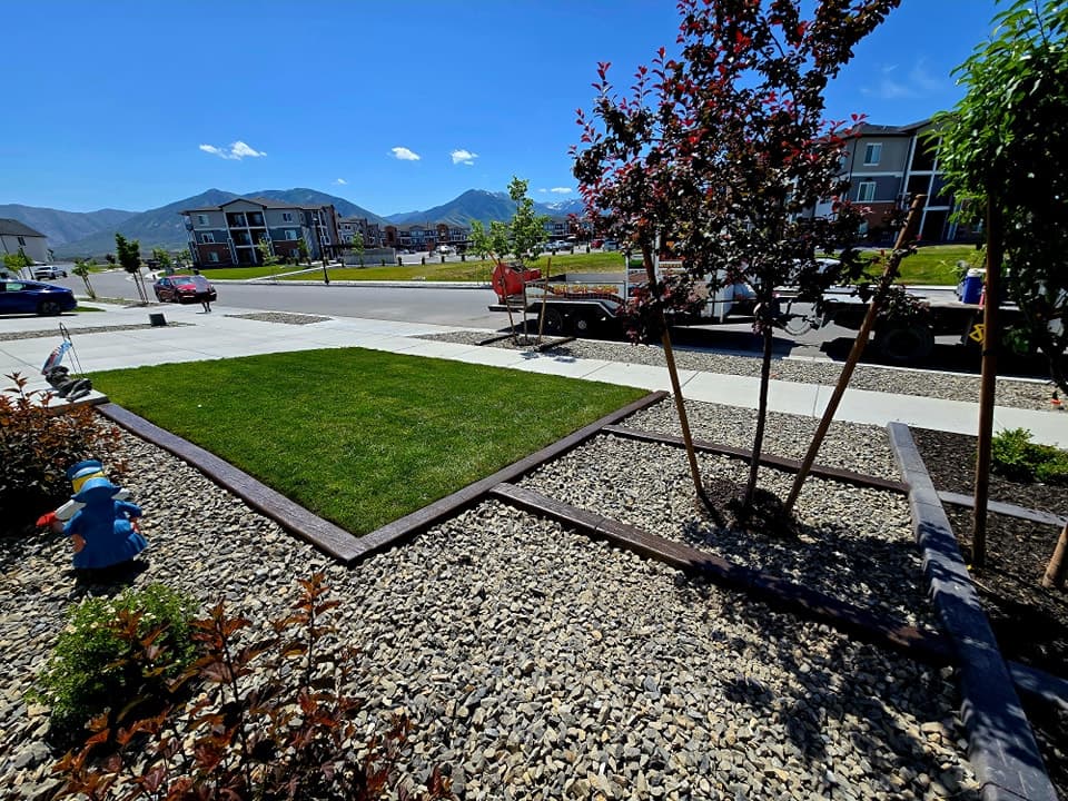 Edge Envy concrete curbing project